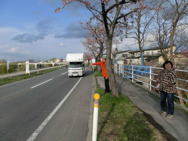 Cimg0337.jpg