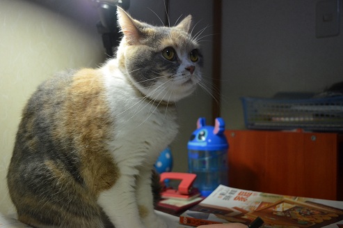 2012.5.5.jya1.jpg