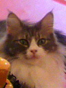 2012-10-12 10:31:20