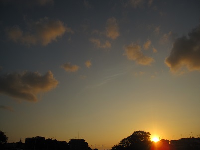 IMG_2221.JPG