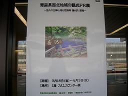 DSCN6762-w256.jpg