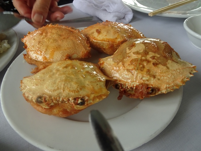 DSC09482_R.JPG