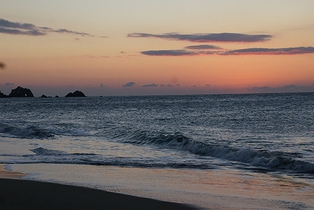 DSC01824.jpg