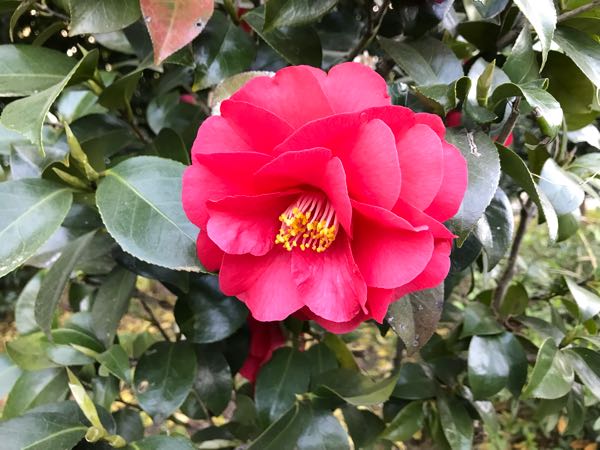 rblog-20180408182540-02.jpg