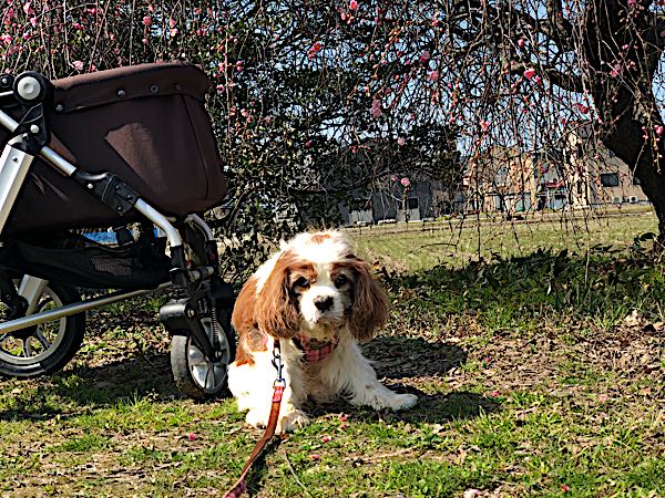 rblog-20180315161956-02.jpg