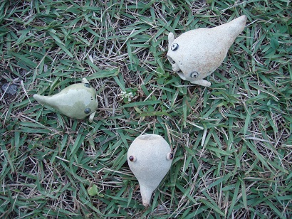 何でしょう？食べられています（笑