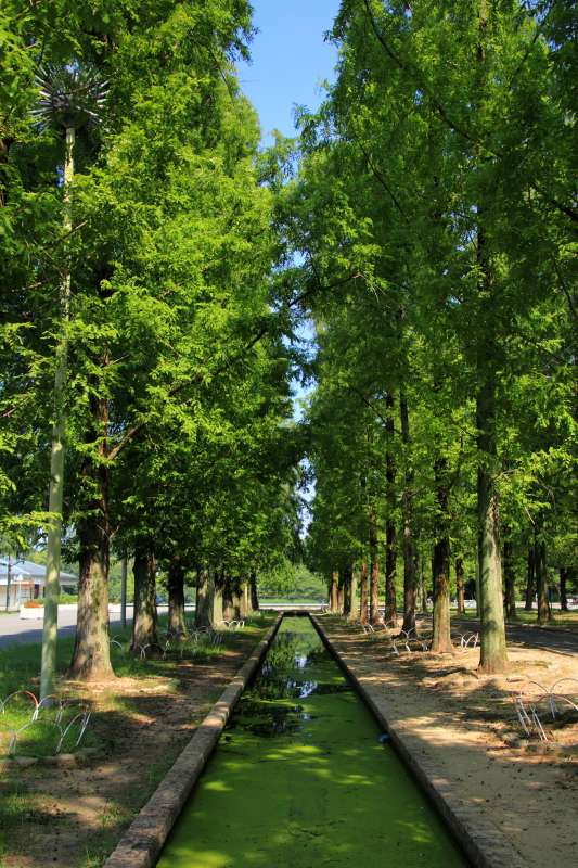 花博記念公園鶴見緑地_005.jpg