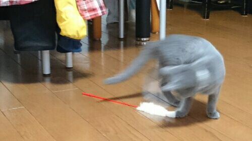 rblog-20170205195707-05.jpg