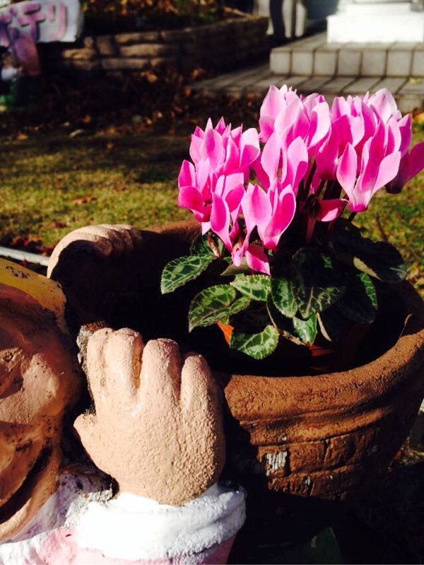 rblog-20141207005938-00.jpg
