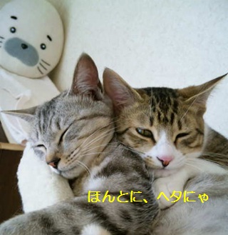 20120707_3.jpg
