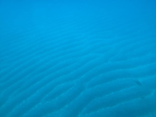 rblog-20160904173020-02.jpg