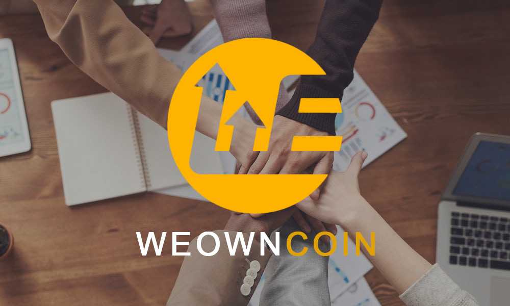 WEOWNCOIN Review