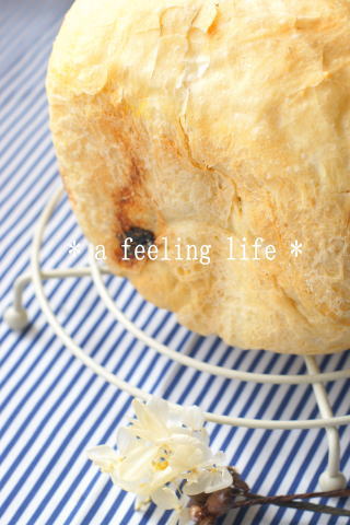 image272.jpg