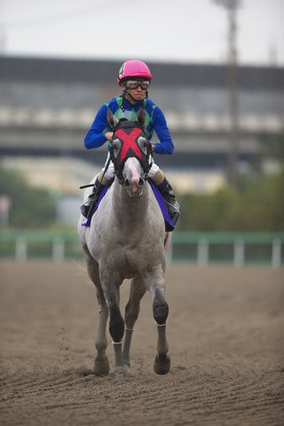 レース後