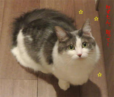mumu3.jpg