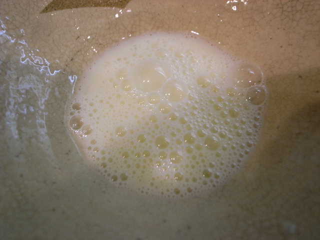 RIMG24135.JPG