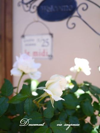 2016.5.13 玄関.JPG