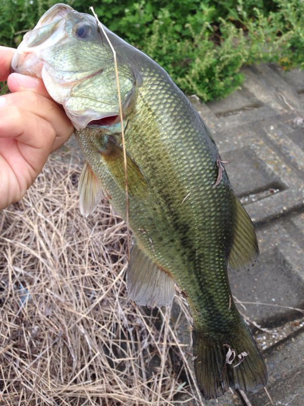 rblog-20140925171756-02.jpg