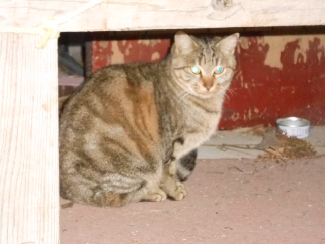 DSCN0760.JPG
