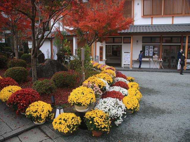 販促キャンペーン 限定≪直書き23面11体≫【群馬 宝徳寺】佐野正綱