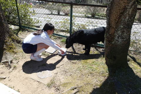 nitijou150328002