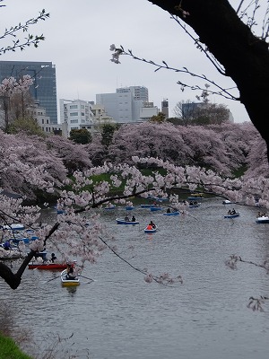 千鳥ヶ淵２.jpg