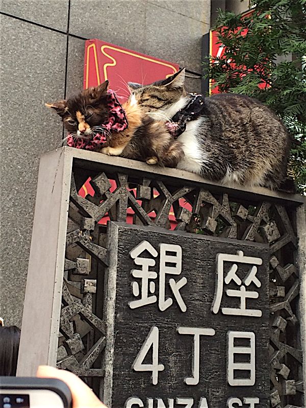 rblog-20141027152013-02.jpg