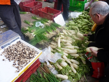 P1030683asaitinedan5.JPG
