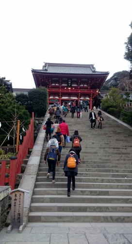 1450849039473 (272x500).jpg