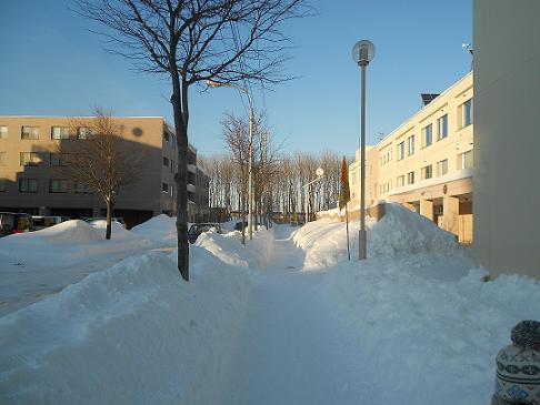 学校前はきれいに除雪