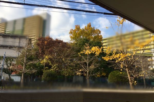 rblog-20161209113401-02.jpg