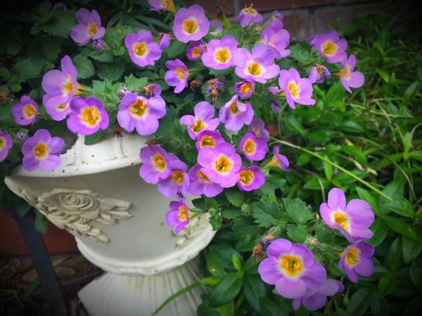 rblog-20160427174445-02.jpg