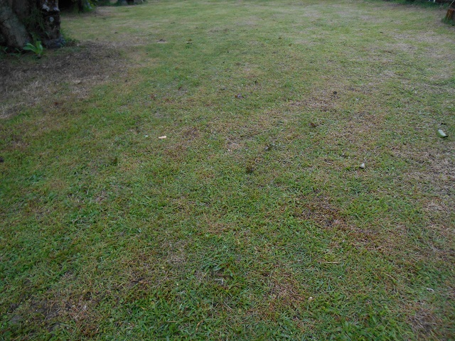 DSCN0858.JPG