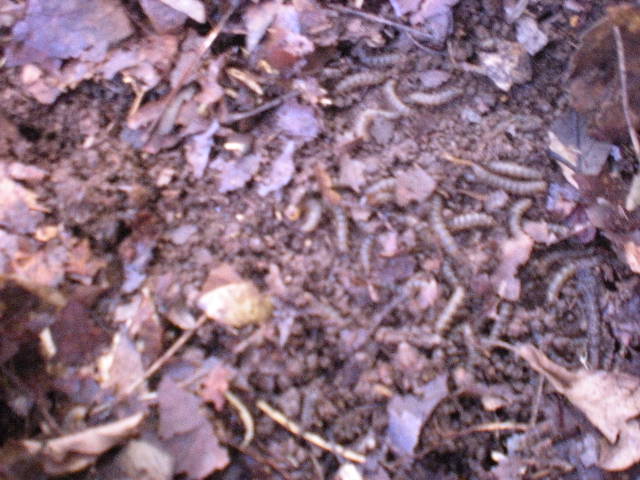 DSCN0717.JPG