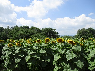 IMG_6839ss.jpg
