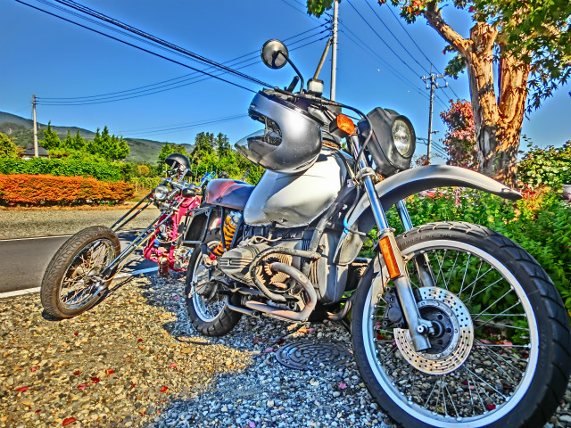 sCIMG3244.jpg