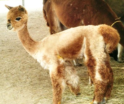 172 のコピー.jpg