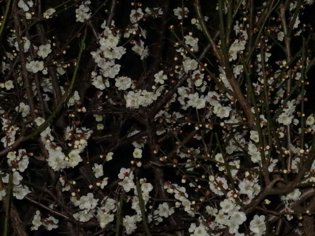 rblog-20150301000607-04.jpg