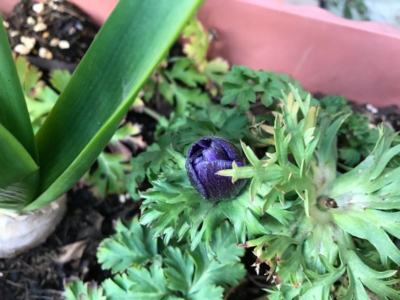 rblog-20190324174258-10.jpg