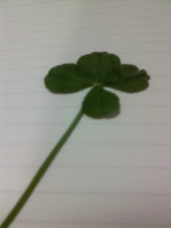 4clov