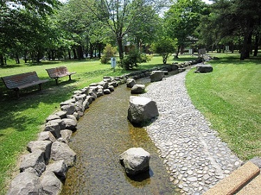 泉の沼（小川）.jpg