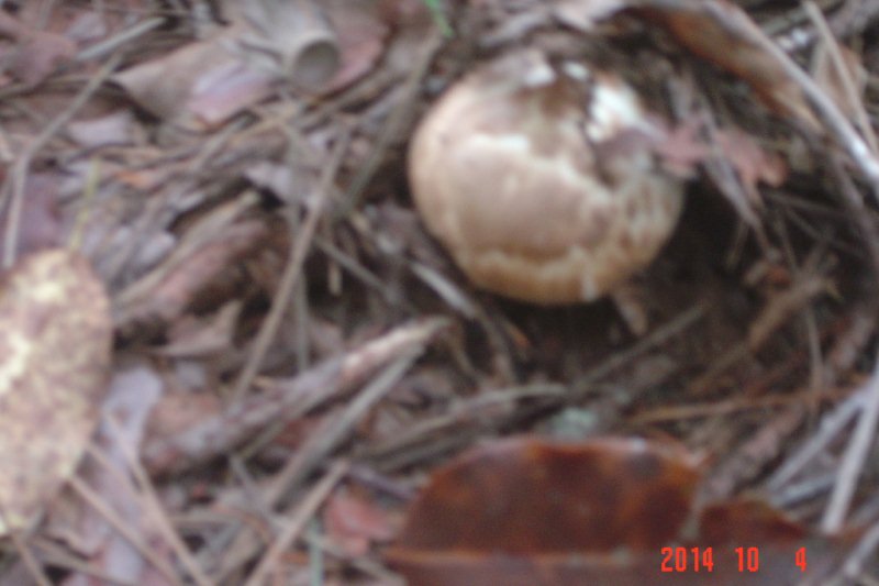DSC03241.JPG