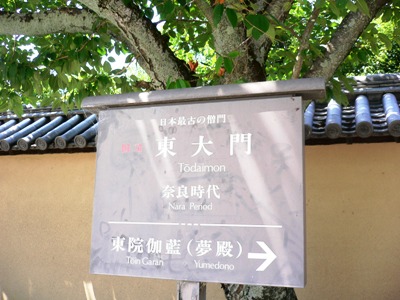 114.JPG