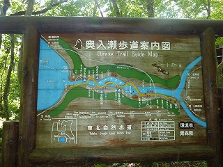 P1060978.jpg