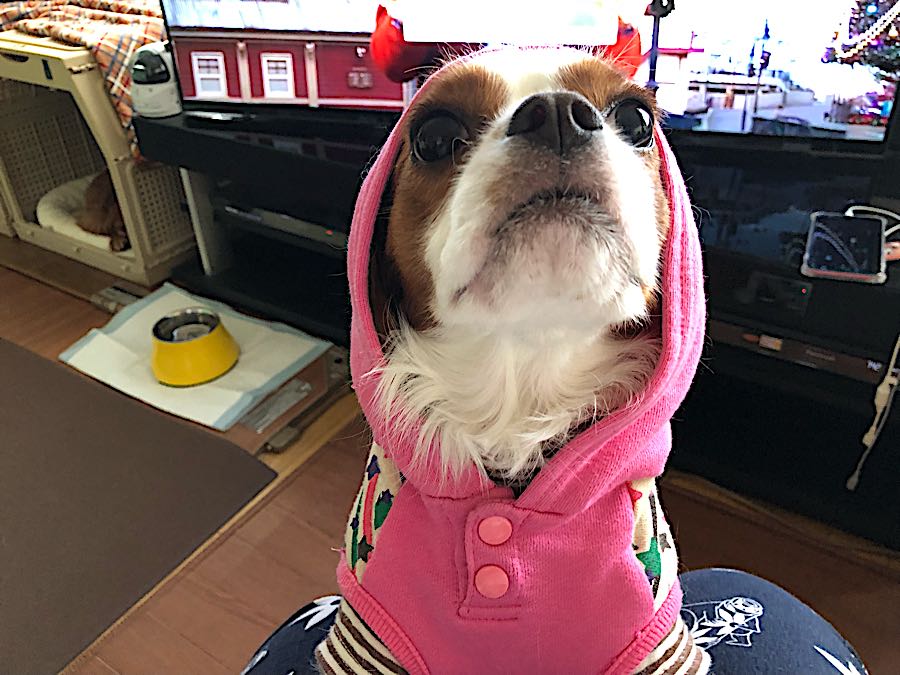 rblog-20181213080455-01.jpg