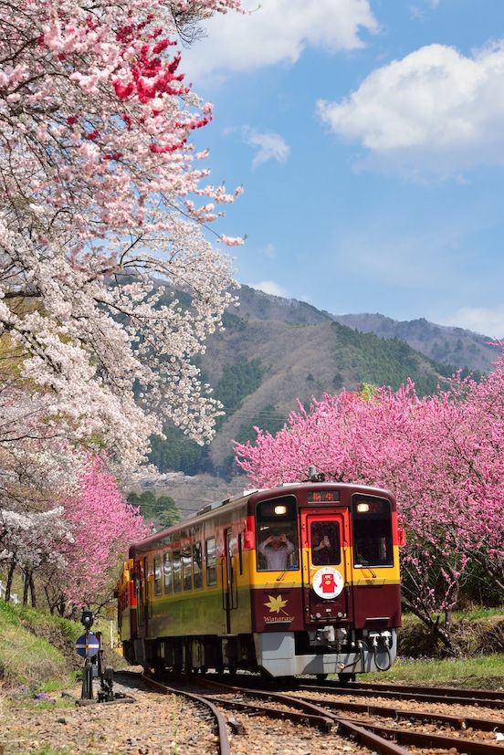 わたらせ渓谷鉄道 神戸駅(2) 鉄道写真撮影地メモ 楽天ブログ わたらせ渓谷鉄道 神戸駅(2) 鉄道写真撮影地メモ 楽天ブログ