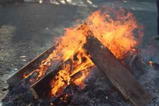 HNI_0003 2013-01-02 15-023.JPG