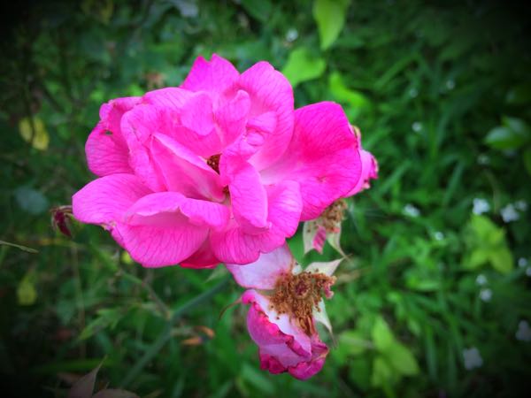 rblog-20160528225139-09.jpg