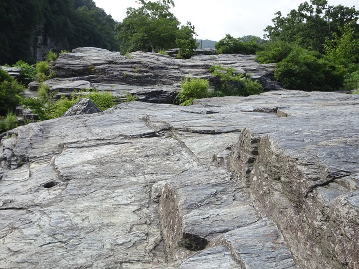 DSC06800_R.JPG