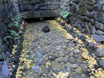 IMG_3261.JPG